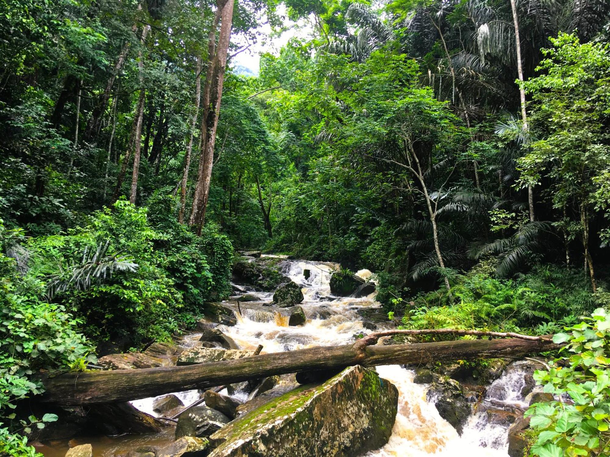 Villa Kinyonga, Camp Mawingu Muheza Buitenkant foto