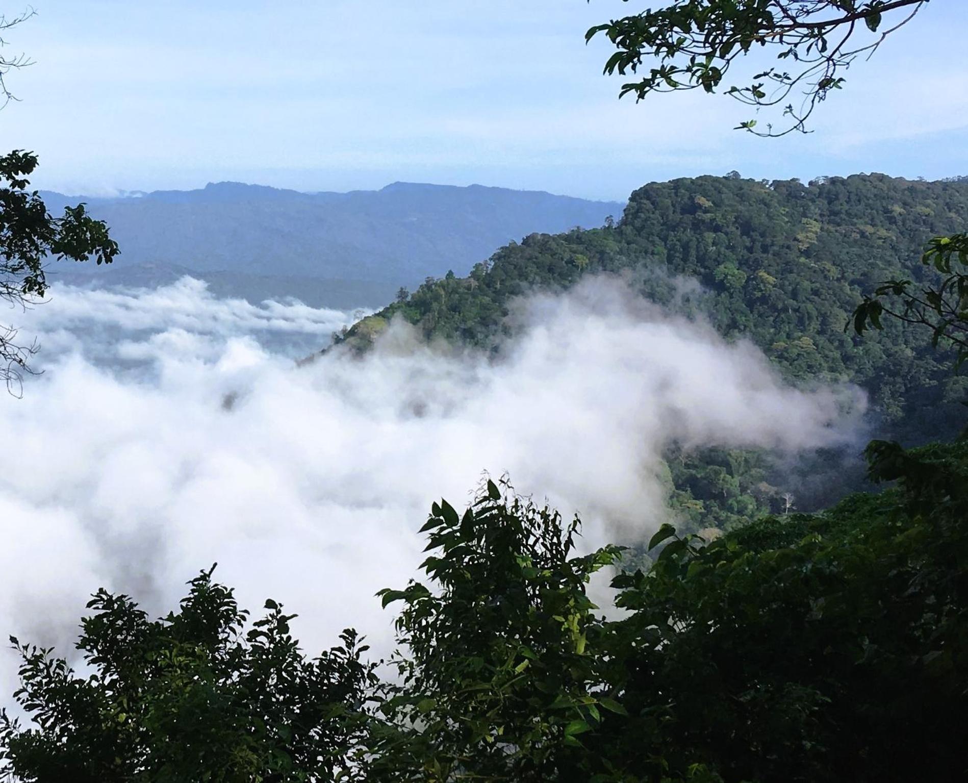 Villa Kinyonga, Camp Mawingu Muheza Buitenkant foto